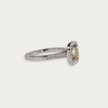 Frame Ring