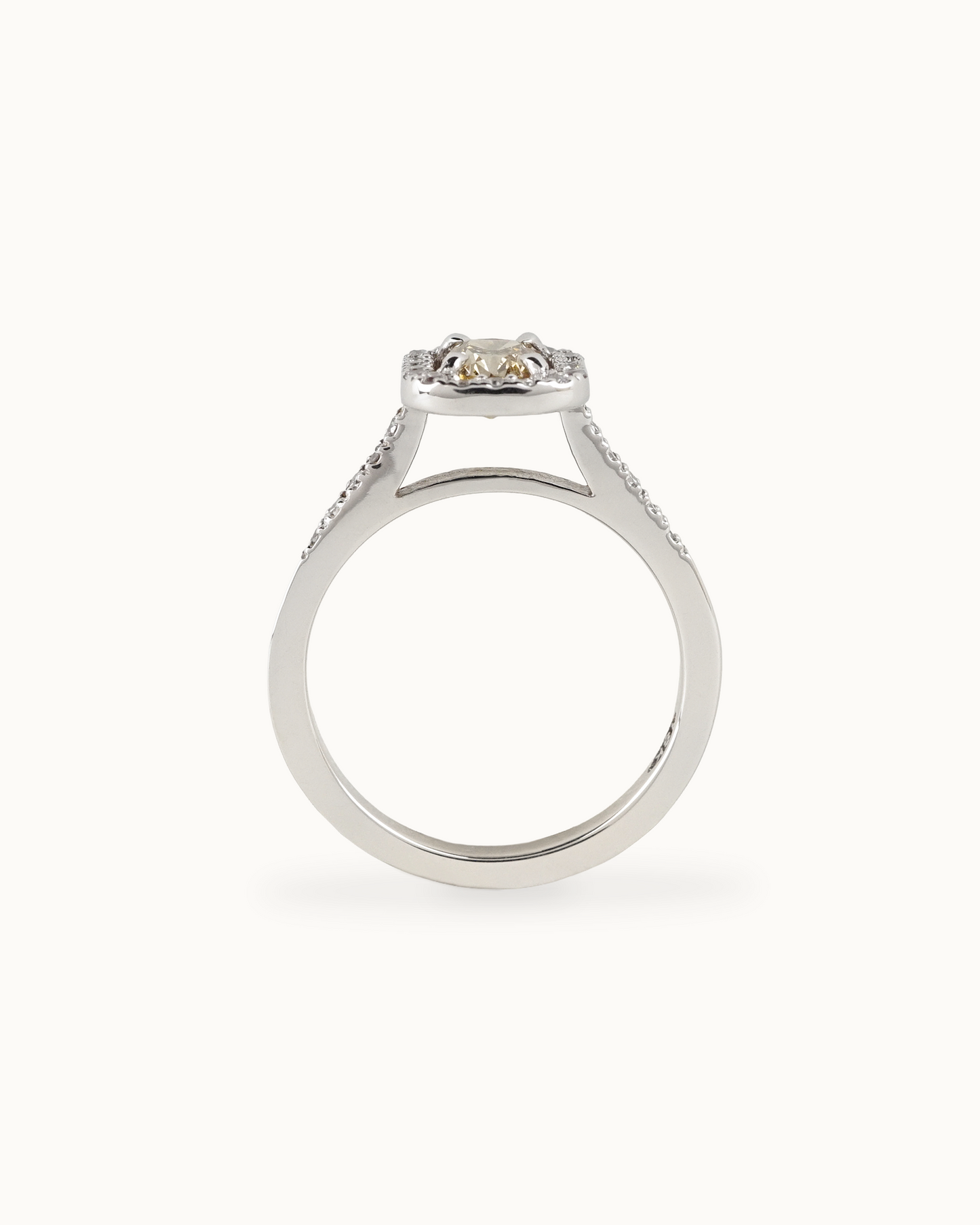 Frame Ring