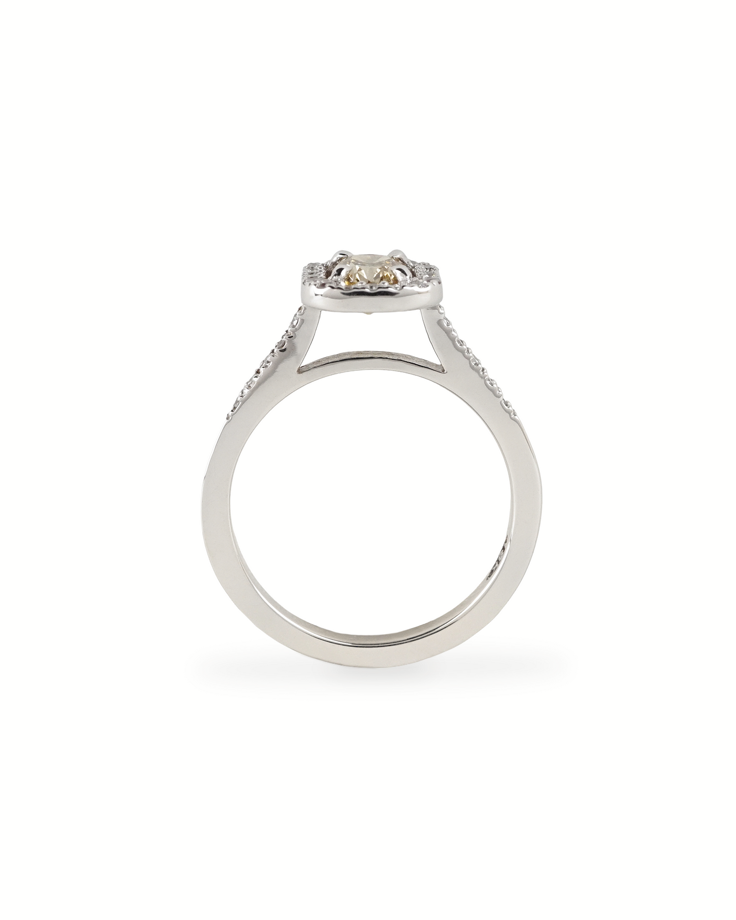 Frame Ring
